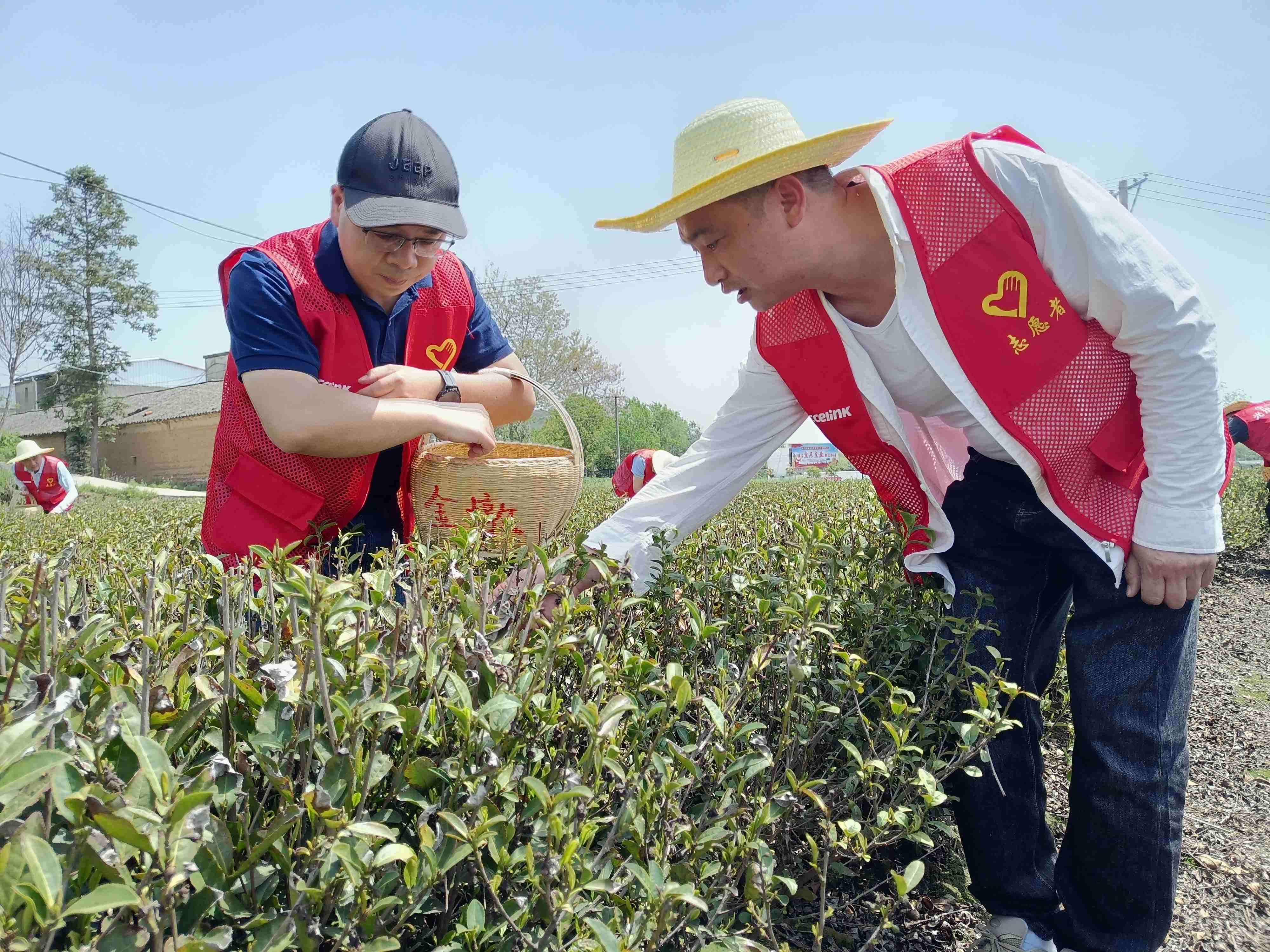 好博(中国)体育智能科技股份有限公司网站